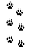 Dog Paws
