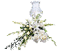 flores blancas y luz
