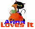 Cat and Pumpkin - Anna loves it