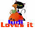 Cat and Pumpkin - Judi loves it