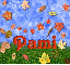 autumn fall Pami