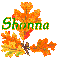 Autumn Leaves - Shonna
