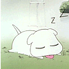 sleeping puppy avatar