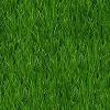 green grass wallpaper