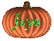 Pumpkin - Jaya