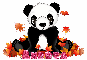 Fall panda bear - Andrea