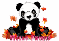 fall panda bear Hello Friend