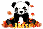 fall panda bear - Jessi