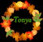 Autumn Wreath - Tonya