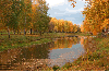 Autumn wood and the river