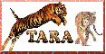 Tiger Tara