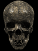 talking skull