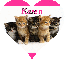 Kittens - Karen