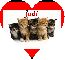 Kittens - Judi
