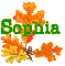 Autumn Leaves - Sophia
