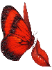 butterfly and lips