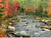 Autumn, river, stones