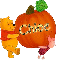 Chloe - Pumpkin