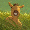 Horsey laughing