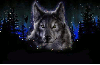 Sparkly wolf