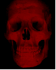 maroon skull