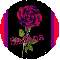 Red Stem Rose - Shonna