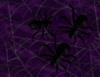 spider wallpaper