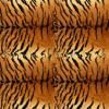Tiger Hide Collage