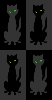 black cat background