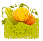 Fall squash - Robin
