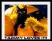 Pumpkin Cat ~ Tammy Loves It