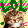 Happy Kitten Smiling LOL
