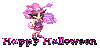 Happy Halloween - Little Witch