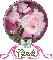 Pink Rose Globe - Cindi