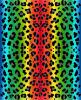 rainbow leopard print