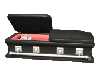 vampire in coffin
