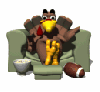 turkey watching football