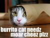 Kitty burrito :D