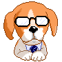 dog in glasses