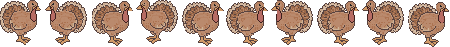 turkey divider