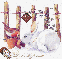 Bianconiglio (white rabbit)