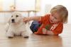 Children And Puppies is really lovable