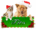 dog cat christmas