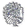 silver turkey avatar