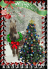 Christmas Horse ~ Merry Christmas
