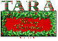 Merry Christmas Tara