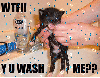 WTF Y U Wash Me??