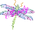 Dragonfly ~ Mandy