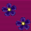 Pretty flower background