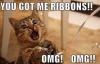 ribbon cat